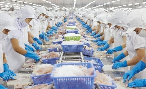 Lợi nhuận quý 3 ngành thủy sản: VHC, ANV, FMC qua đỉnh, MPC giảm so với cùng kỳ