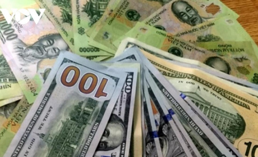 VND mất giá 8,6%, một số doanh nghiệp vẫn có thể hưởng lợi lớn