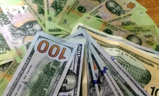 VND mất giá 8,6%, một số doanh nghiệp vẫn có thể hưởng lợi lớn