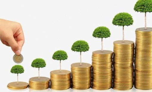 Vốn đăng ký bình quân của doanh nghiệp thành lập mới "teo tóp"