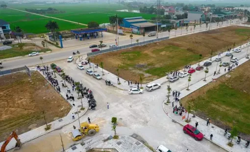 Phân khúc nào đang xảy ra tình trạng cắt lỗ mạnh?