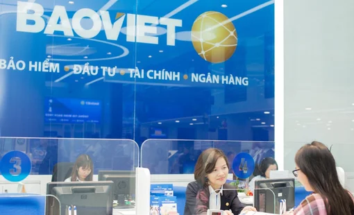 Lợi nhuận 9 tháng giảm 13,1%, Bảo Việt đang rót tiền vào đâu?