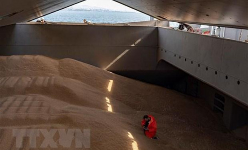 Nga bắt đầu dừng tham gia thỏa thuận ngũ cốc trên Biển Đen