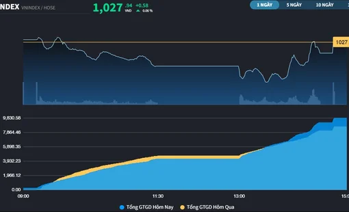 Cổ phiếu lớn cân lại điểm nhưng VN-Index vẫn "xanh vỏ đỏ lòng"