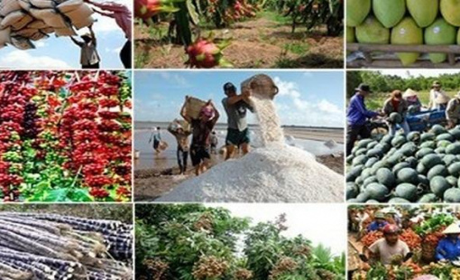 Ngành nông nghiệp đã có 7 sản phẩm đạt giá trị xuất khẩu trên 2 tỷ USD