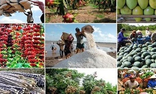 Ngành nông nghiệp đã có 7 sản phẩm đạt giá trị xuất khẩu trên 2 tỷ USD