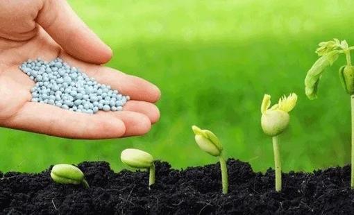 Lợi nhuận doanh nghiệp phân bón quý 3: Đi qua “mùa hoa đẹp nhất”