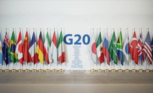 G20 công bố quỹ ứng phó với đại dịch toàn cầu trị giá 1,4 tỷ USD
