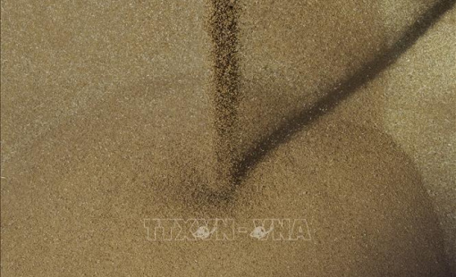 Mỹ và EU cam kết tạo điều kiện cho xuất khẩu ngũ cốc, phân bón của Nga