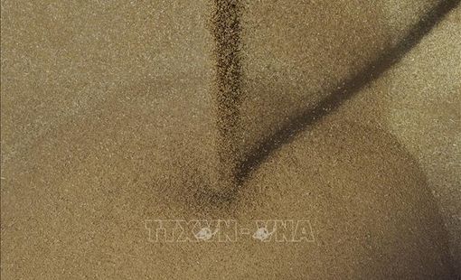 Mỹ và EU cam kết tạo điều kiện cho xuất khẩu ngũ cốc, phân bón của Nga