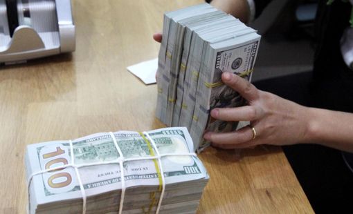 “Ngân hàng Nhà nước có thể cân nhắc cho phép tỷ giá tham chiếu tăng nhanh hơn”