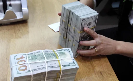 “Ngân hàng Nhà nước có thể cân nhắc cho phép tỷ giá tham chiếu tăng nhanh hơn”