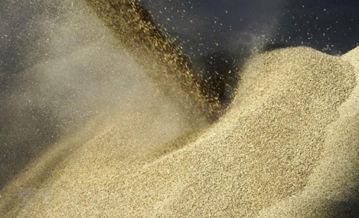 Nga không muốn gián đoạn chuỗi an ninh lương thực toàn cầu