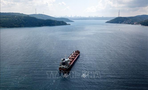 Nga: Có tiến triển tích cực về gia hạn thỏa thuận xuất khẩu ngũ cốc qua Biển Đen