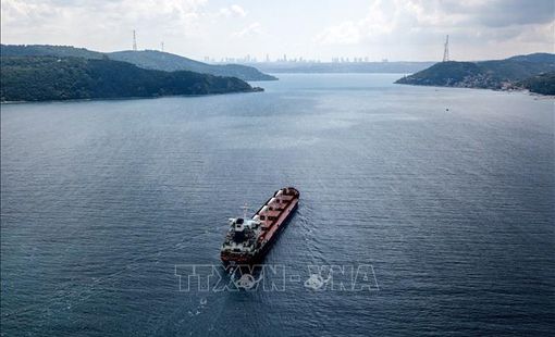 Nga: Có tiến triển tích cực về gia hạn thỏa thuận xuất khẩu ngũ cốc qua Biển Đen