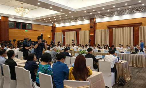 Doanh nghiệp cần chính sách nhất quán, không nay đúng, mai sai, ngày kia lại đúng...