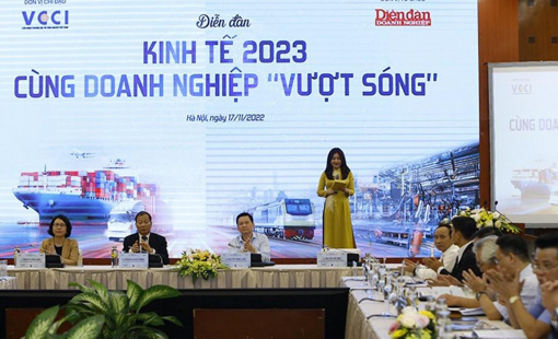 Khu vực doanh nghiệp đông về số lượng nhưng tiềm lực không mạnh