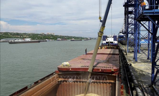 Tương lai đầy lo ngại của thoả thuận xuất khẩu ngũ cốc Ukraine khi yêu cầu của Nga chưa được giải quyết