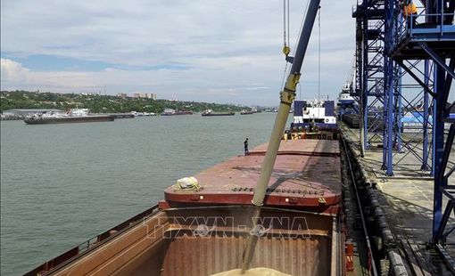 Tương lai đầy lo ngại của thoả thuận xuất khẩu ngũ cốc Ukraine khi yêu cầu của Nga chưa được giải quyết