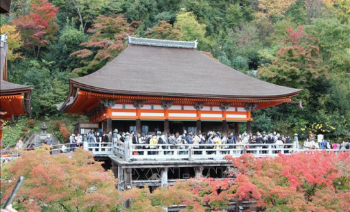 Doanh nghiệp Việt đặt nhiều kỳ vọng vào sự khởi sắc của du lịch Nhật Bản