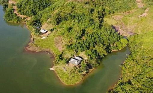 Hết thời “bỏ phố về rừng”, đến thời “bán farmstay về phố”