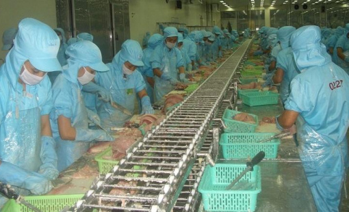 Xuất khẩu thủy sản lần đầu tiên cán mốc 10 tỷ USD vào cuối tháng 11 năm nay