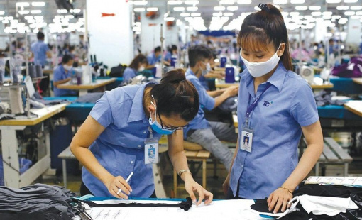 Tiền lương của người lao động tăng khoảng 11% nhờ EVFTA