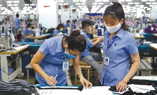 Tiền lương của người lao động tăng khoảng 11% nhờ EVFTA
