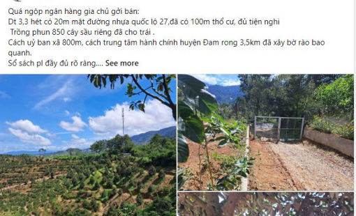 Bán farmstay về phố: Nhà đầu cơ mới phải cắt lỗ "đau"