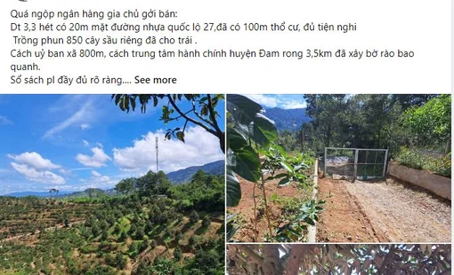 Bán farmstay về phố: Nhà đầu cơ mới phải cắt lỗ "đau"