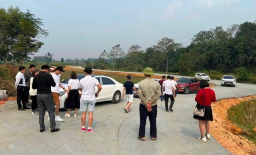 Thị trường bất động sản cuối năm: Đất nền, chung cư hay biệt thự/nhà liền kề chịu sức ép giảm giá mạnh nhất?