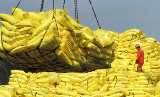 Toàn cầu hóa đang khiến cho phí thực phẩm tăng cao chóng mặt