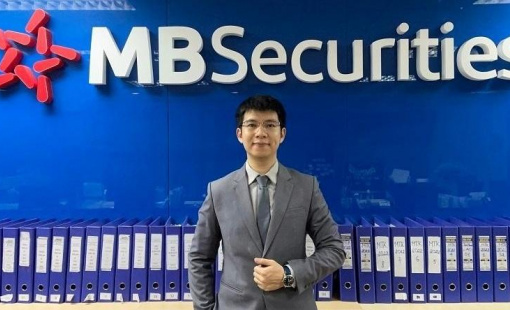 Thị trường đã tạo đáy, cổ phiếu nào đang hấp dẫn?