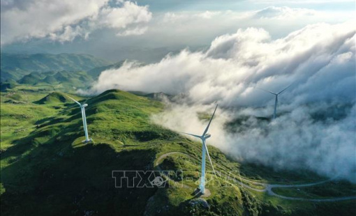 Lý do khiến Trung Quốc chi phối lĩnh vực điện gió