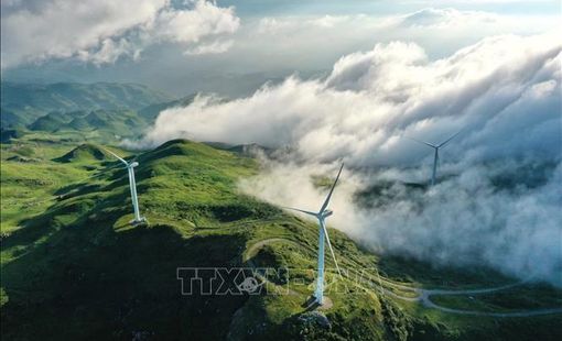 Lý do khiến Trung Quốc chi phối lĩnh vực điện gió