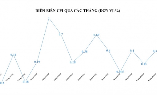 CPI tháng 11 tăng 4,37% so với cùng kỳ năm trước, bình quân 11 tháng tăng 3,02%
