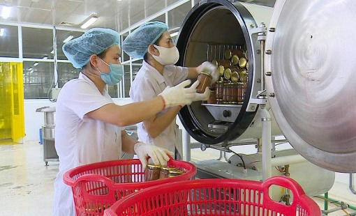 Doanh nghiệp thành lập mới tháng 11 giảm cả lượng lẫn vốn