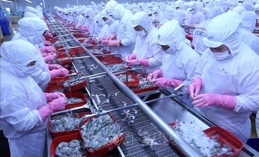 Cần cắt giảm thêm thủ tục hành chính và danh mục hàng hóa