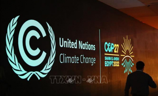 Bài học từ chính sách chuyển đổi kinh tế "xanh" của Ai Cập