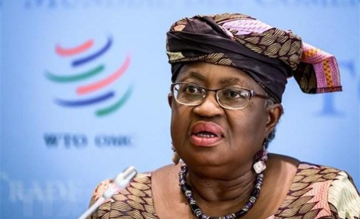 WTO kêu gọi loại bỏ rào cản thương mại với hàng hóa vì môi trường