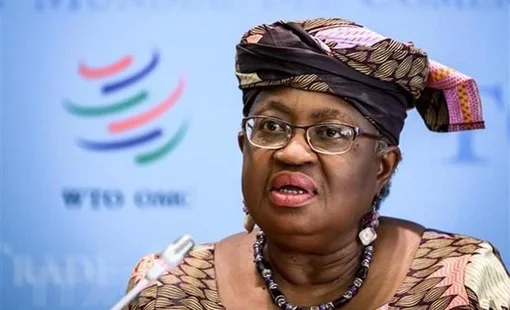 WTO kêu gọi loại bỏ rào cản thương mại với hàng hóa vì môi trường