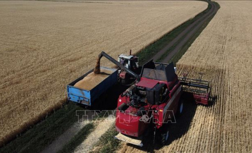 Ukraine muốn mở rộng phạm vi của thỏa thuận xuất khẩu ngũ cốc