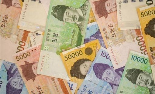 Hàn Quốc: Bất bình đẳng về thu nhập gia tăng do COVID-19
