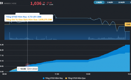 Rung lắc đến trong phiên chiều, VN-Index giảm hơn 10 điểm