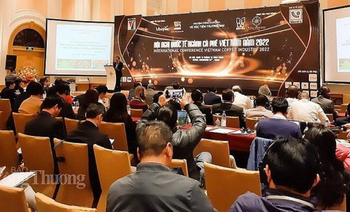 Kim ngạch xuất khẩu cà phê Việt Nam lập kỷ lục, thách thức còn phía trước