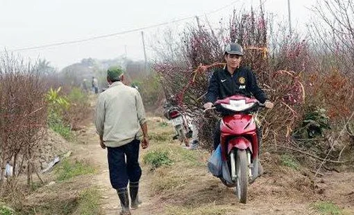Phải nghỉ Tết sớm, môi giới bất động sản đi chạy xe ôm, giao hàng kiếm tiền lo Tết