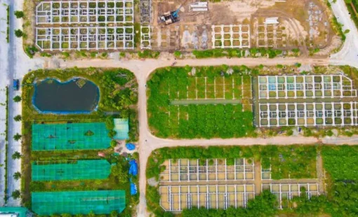 Điều gì khiến giới chuyên gia lạc quan dự báo thị trường bất động sản hồi phục vào năm 2023?