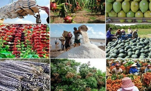 Việt Nam lạc quan với mục tiêu 5 tỷ USD kim ngạch xuất khẩu rau quả