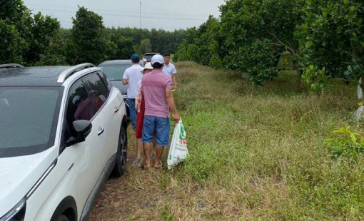 “Thời tới” cho người sẵn tiền mặt: Mua 1 gấp 3?