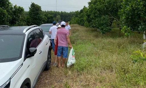 “Thời tới” cho người sẵn tiền mặt: Mua 1 gấp 3?